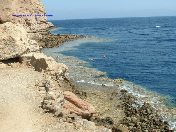 DSCF0019