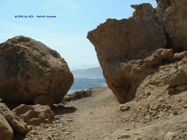 DSCF0023