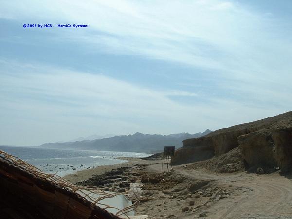 DSCF0041