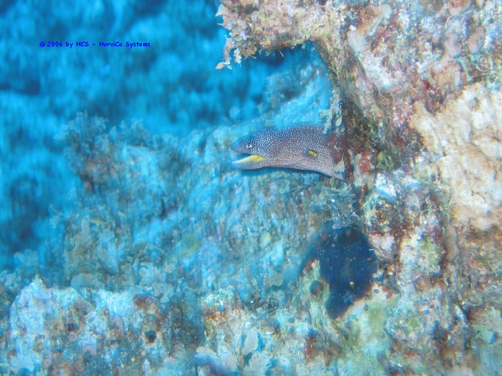 IMG_0181