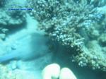 IMG_0235 IMG_0235