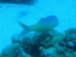 IMG_0240 IMG_0240