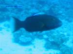 IMG_0244 IMG_0244