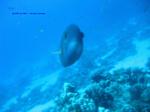 IMG_0246 IMG_0246