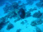 IMG_0247 IMG_0247