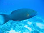 IMG_0248 IMG_0248