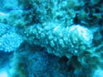 IMG_0249 IMG_0249