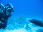 IMG_0250 IMG_0250