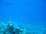 IMG_0251 IMG_0251