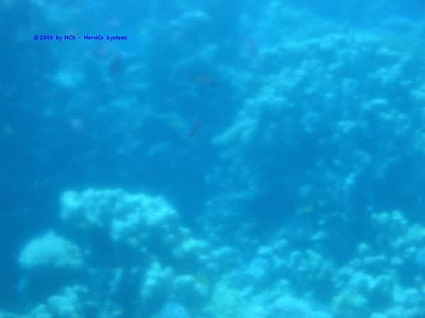 IMG_0256