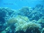 IMG_0258 IMG_0258