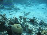 IMG_0260 IMG_0260