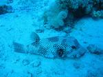 IMG_0262 IMG_0262