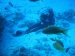 IMG_0265 IMG_0265