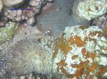 IMG_0267 IMG_0267