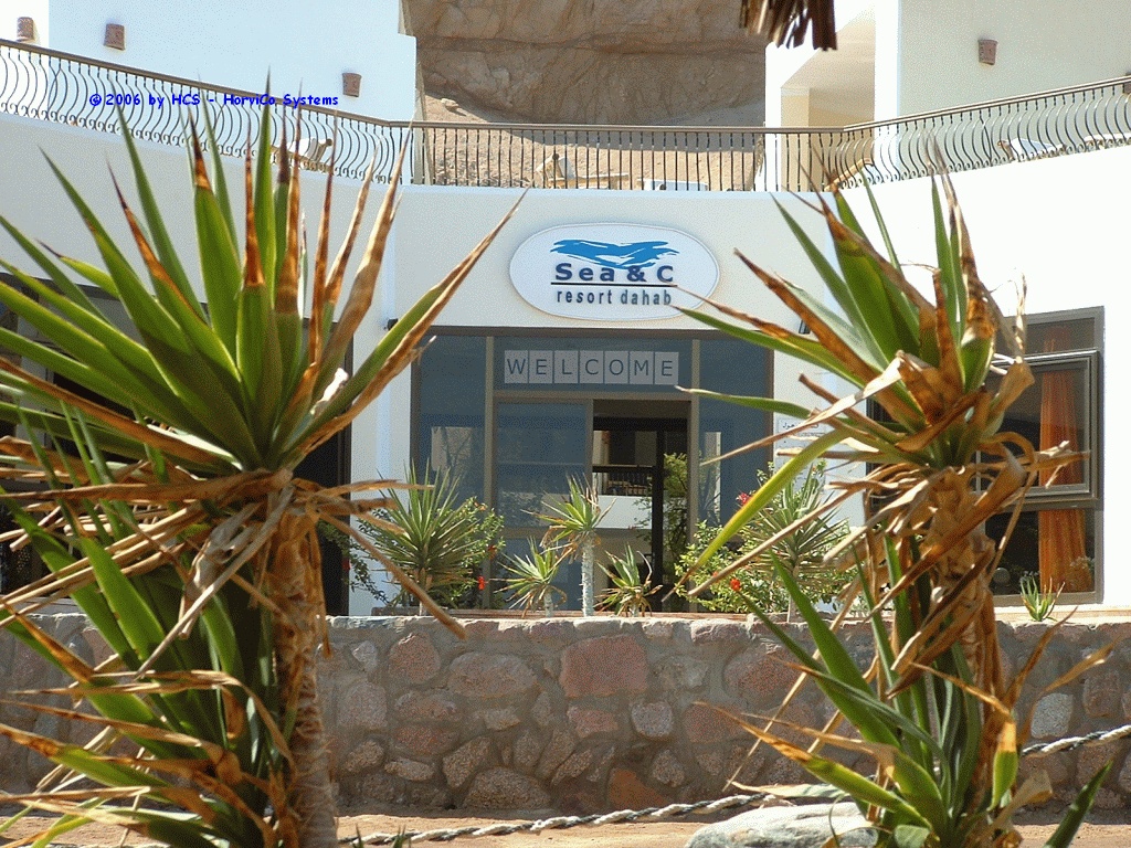 DSCF0083
