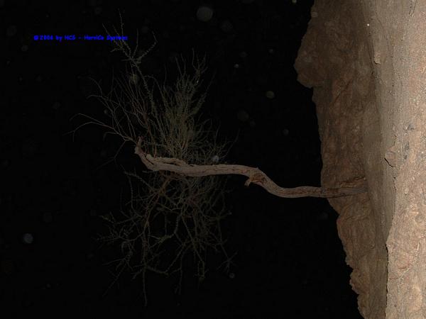 DSCF0035