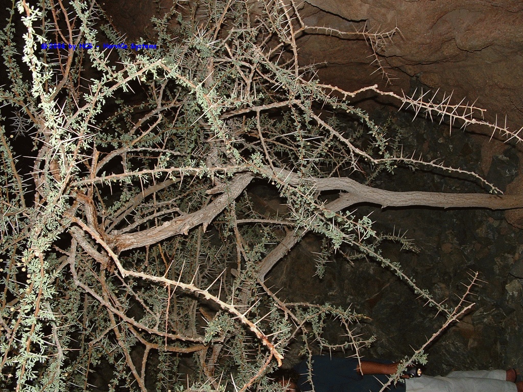 DSCF0041