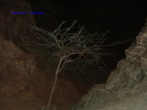 DSCF0042