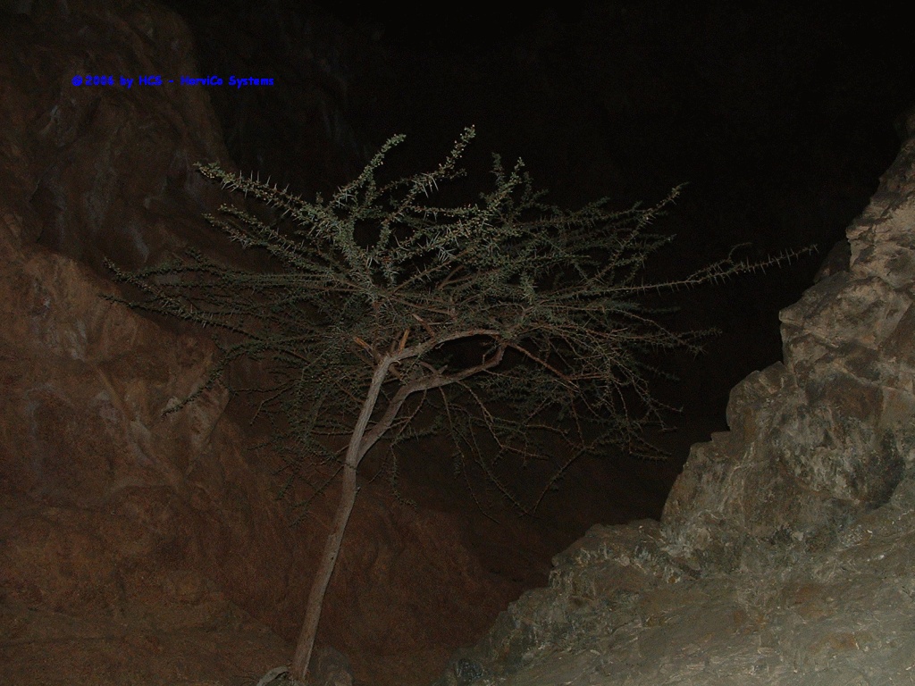 DSCF0042