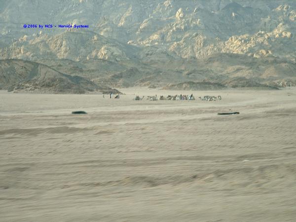 DSCF0055