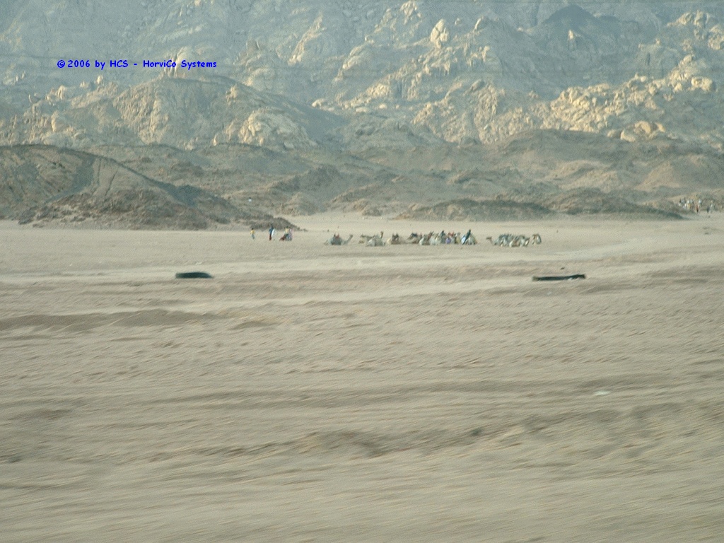 DSCF0055