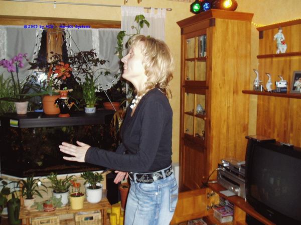 Silvester 008