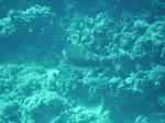 IMG_0375 IMG_0375