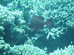 IMG_0386 IMG_0386