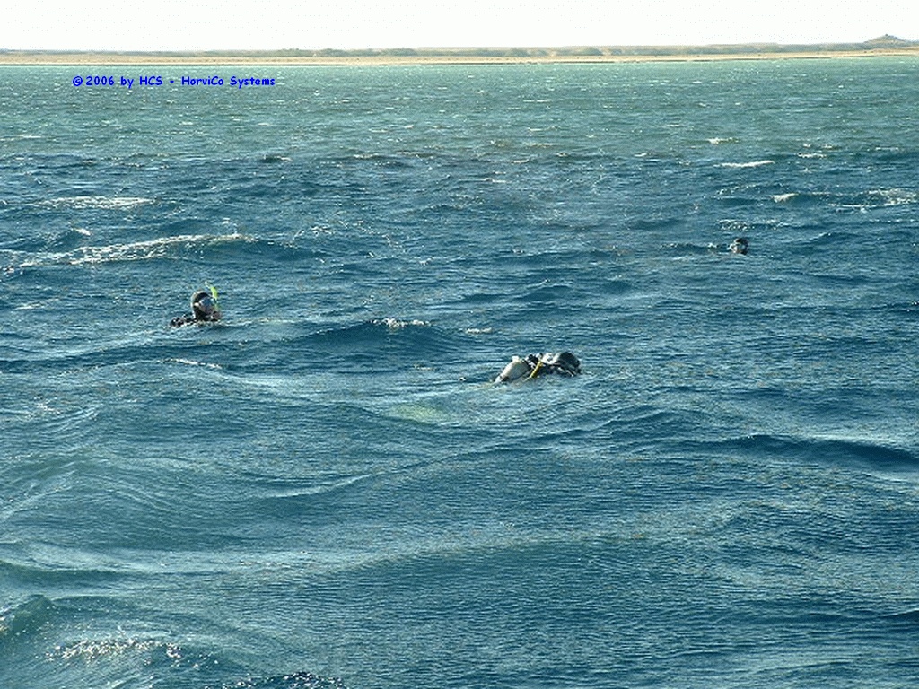 DSCF0066