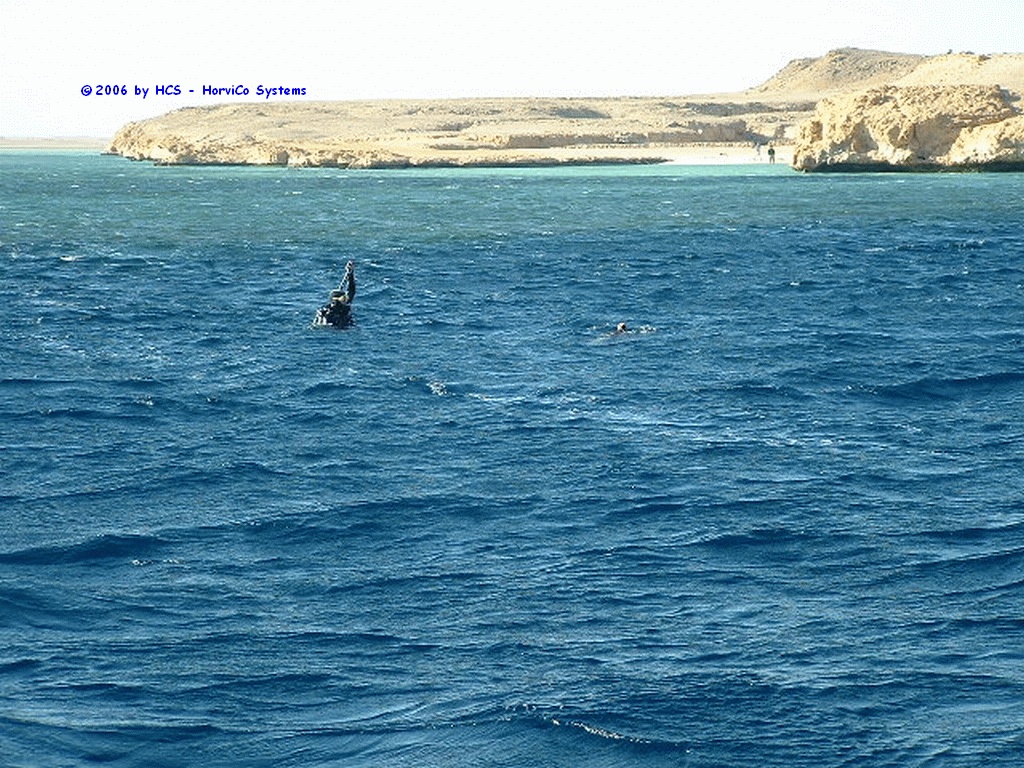 DSCF0067