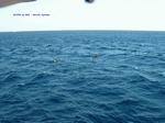 DSCF0076 DSCF0076