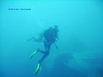IMG_0007 IMG_0007