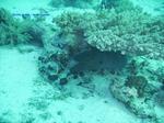 IMG_0075 IMG_0075
