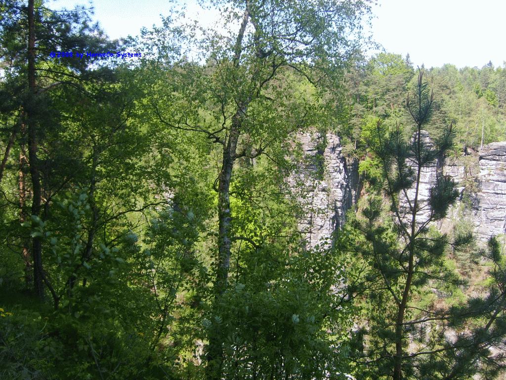 S5002648