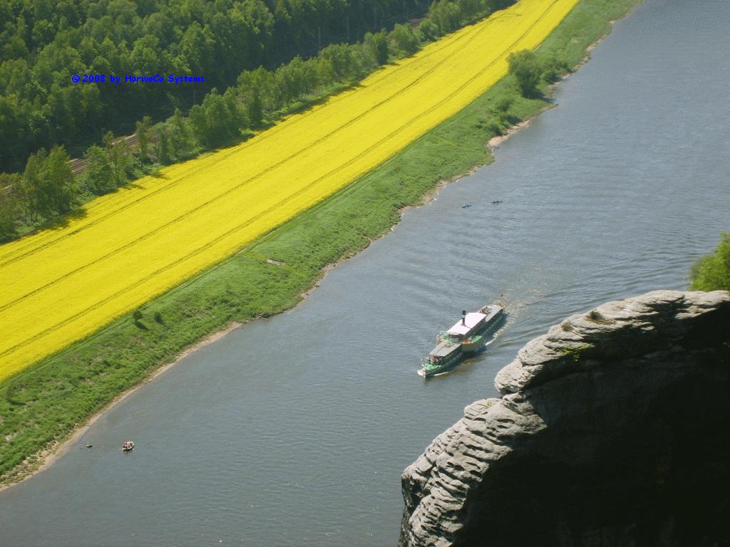 S5002686