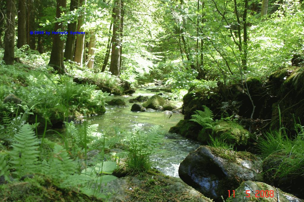 Bild-053