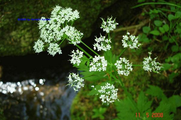 Bild-057