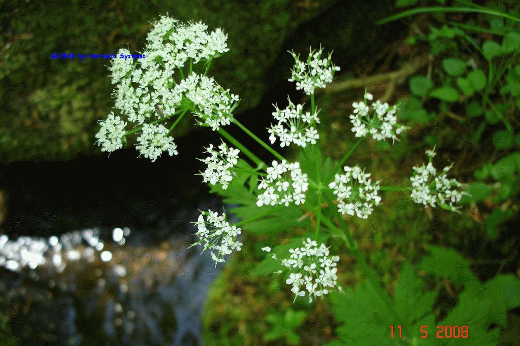 Bild-057