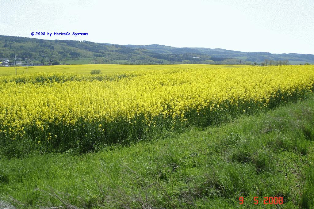 Bild-001