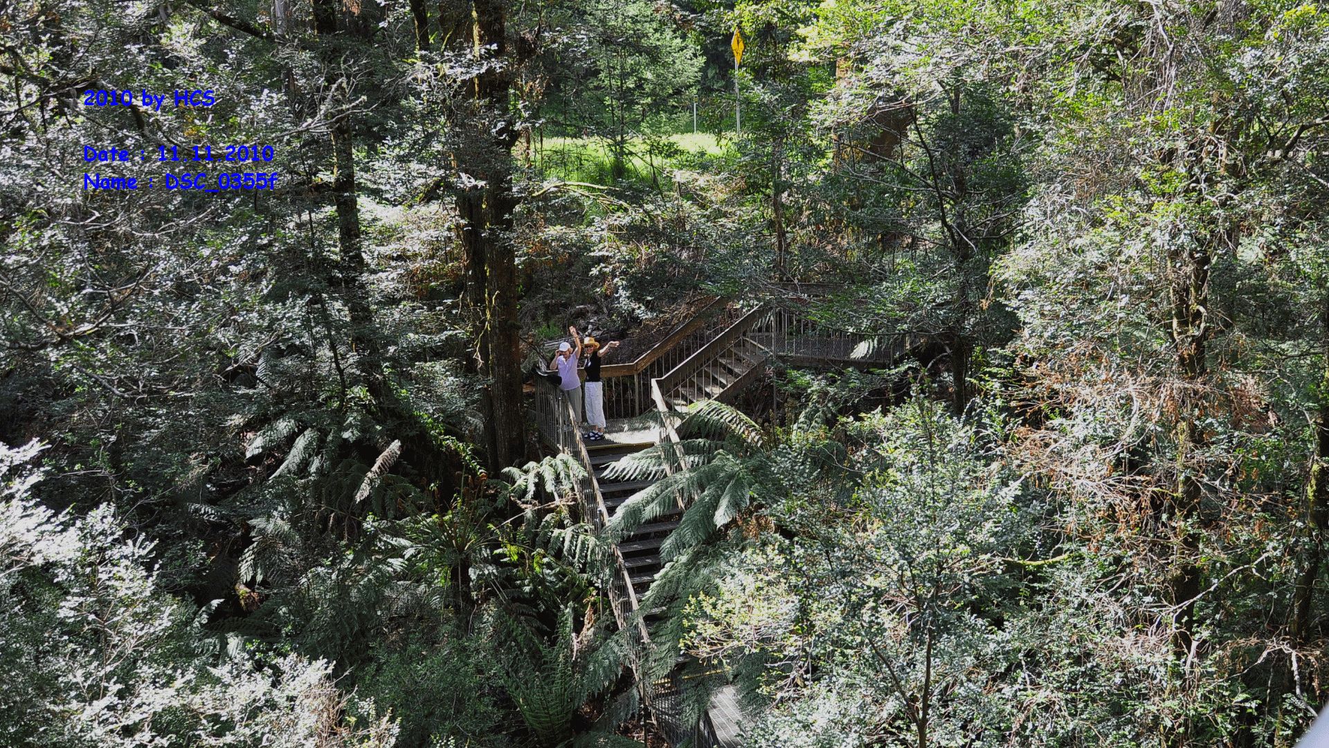 DSC_0355f