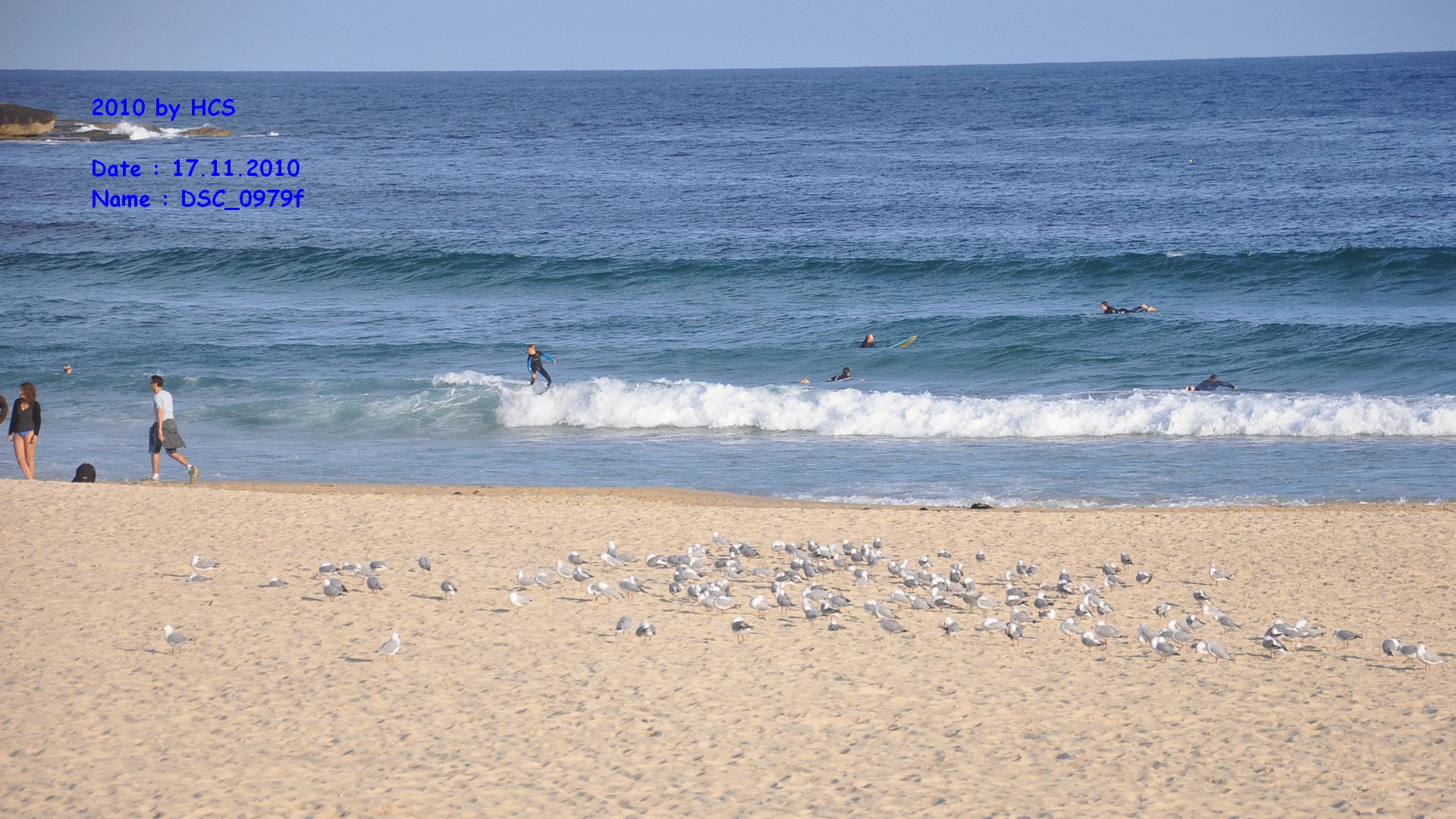 DSC_0979f