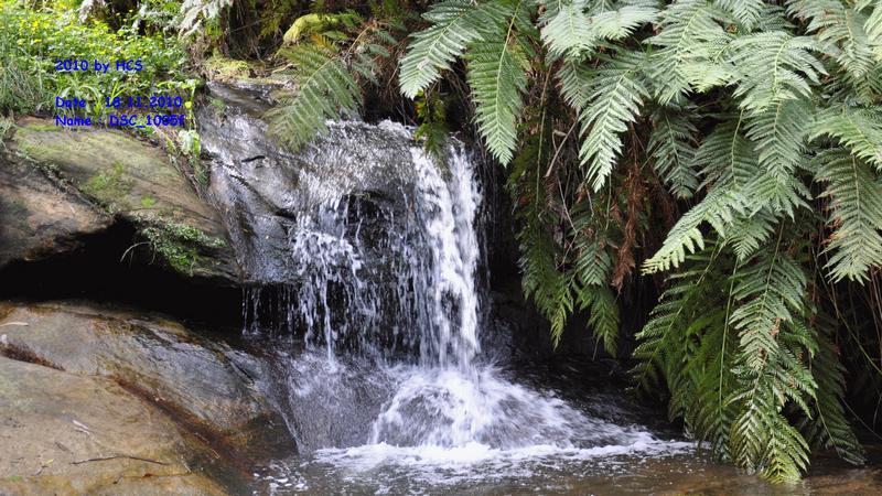 DSC_1005f