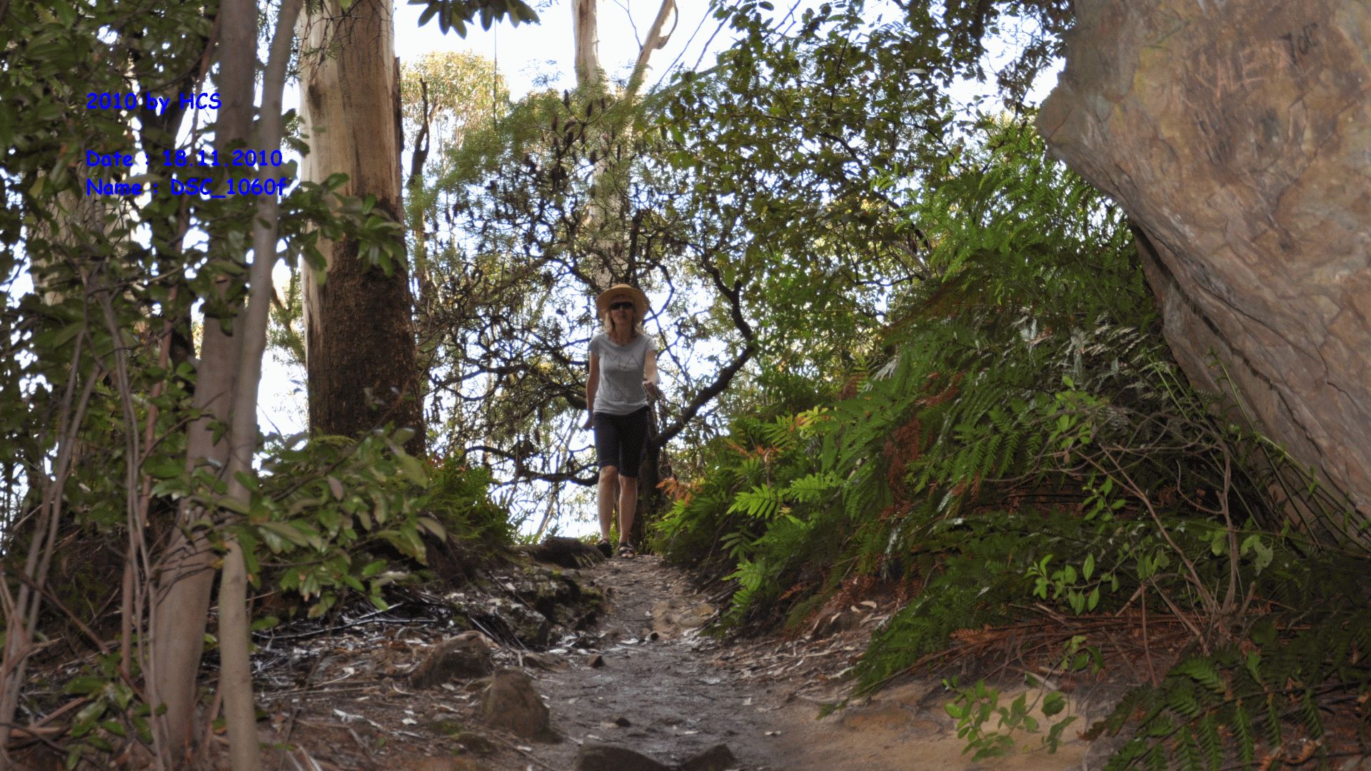 DSC_1060f