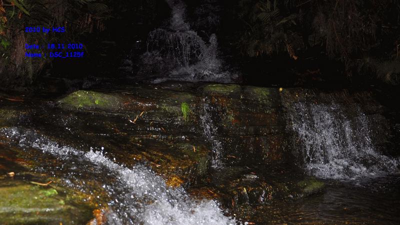 DSC_1125f