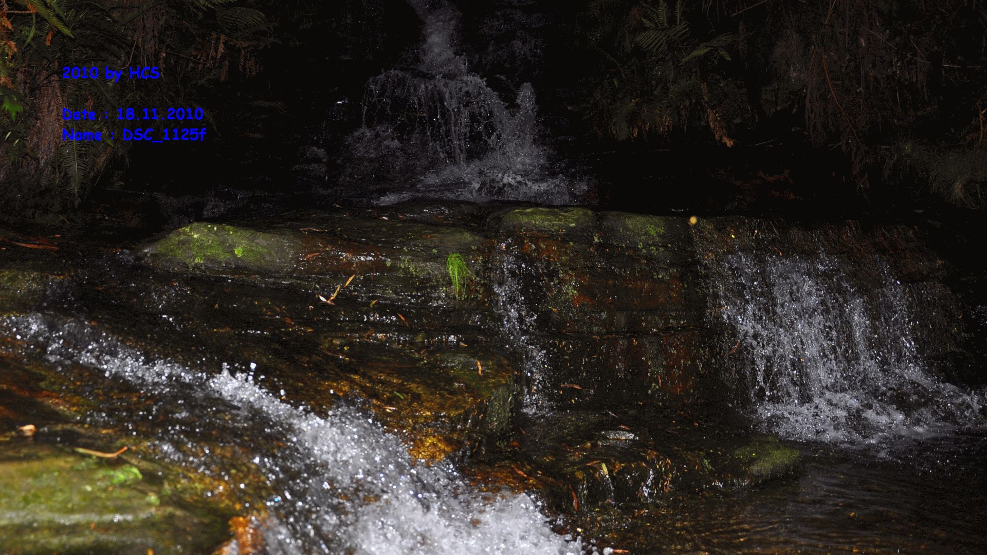 DSC_1125f