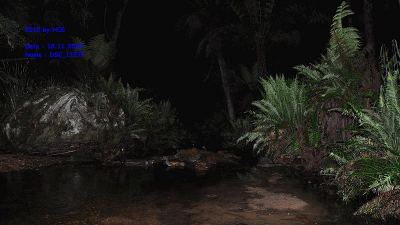 DSC_1127f