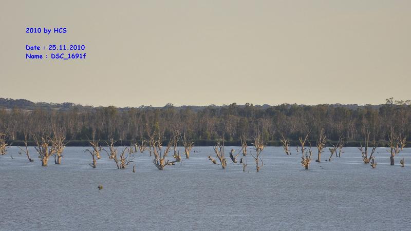 DSC_1691f