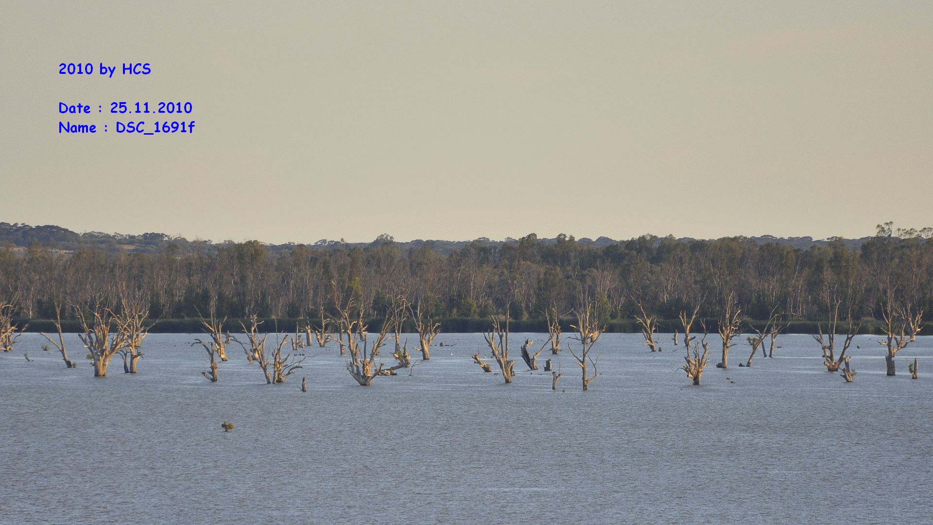 DSC_1691f