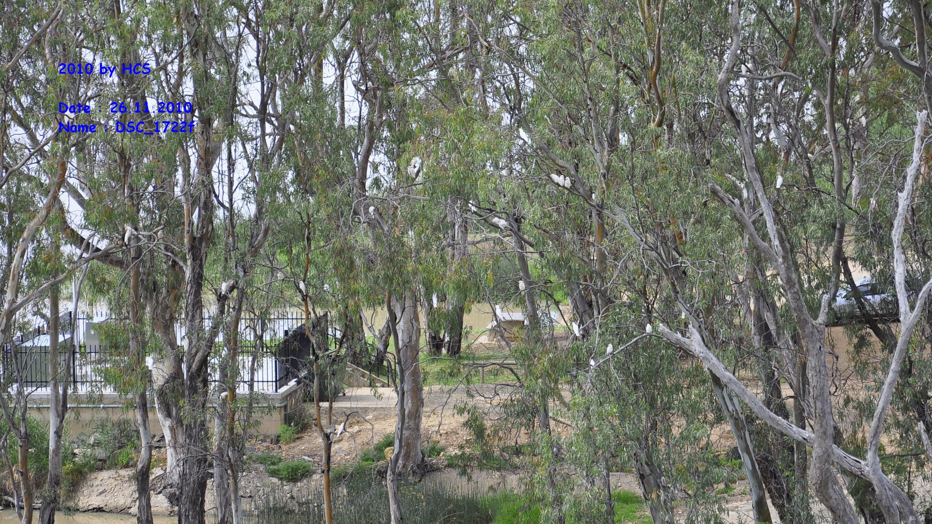 DSC_1722f